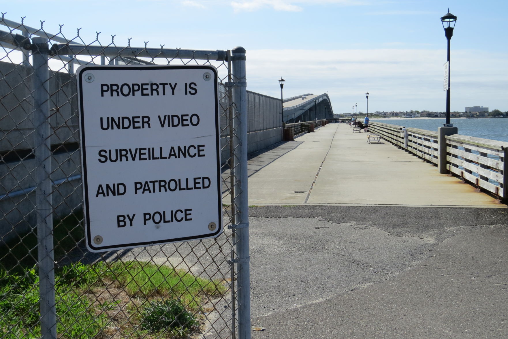 100816_urg_cdb_dogbeach (18).JPG